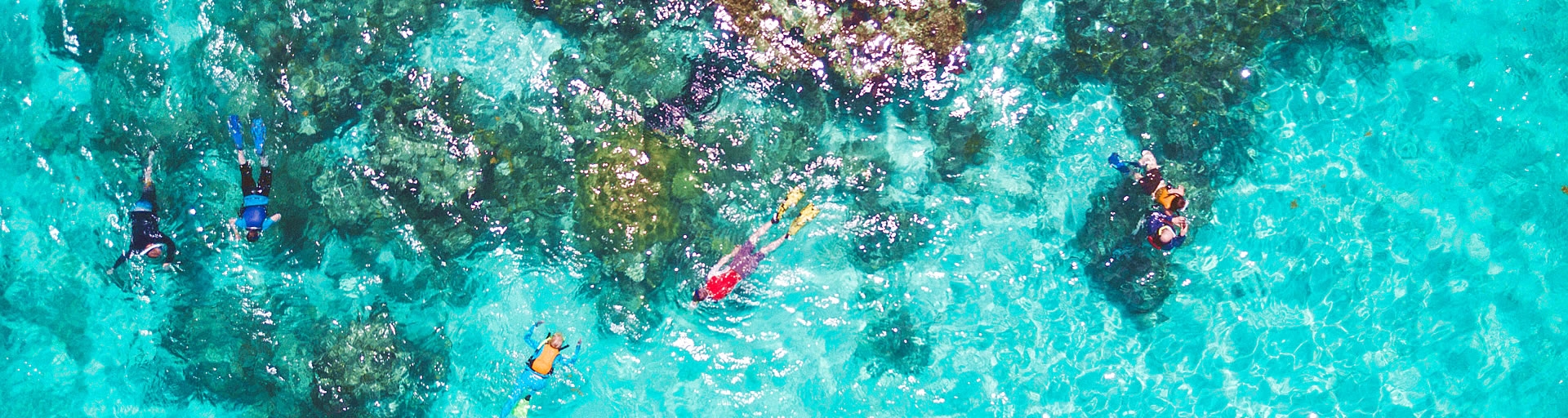 snorkeling Belize, Central America