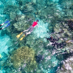 Snorkeling Glover's Reef