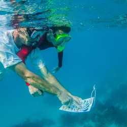 Snorkel the Barrier Reef