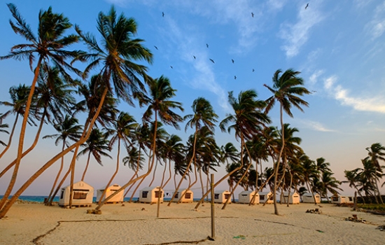Lighthouse Reef Basecamp on Half Moon Caye