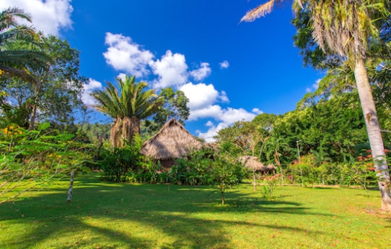 Bocawina Rainforest Resort Belize