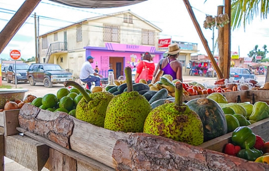 Fruit at the Dangriga Market