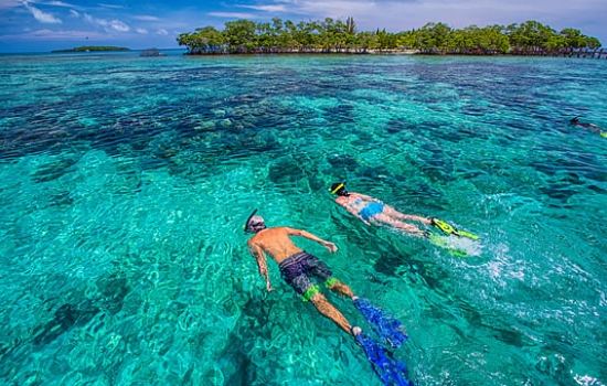 Snorkelling off Billy Hawk Caye