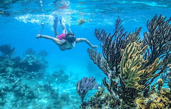 Snorkeling on Lighthouse Reef Atoll Belize