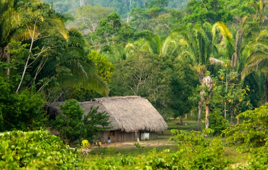 Mayan Village of Santa Theresa in Belize