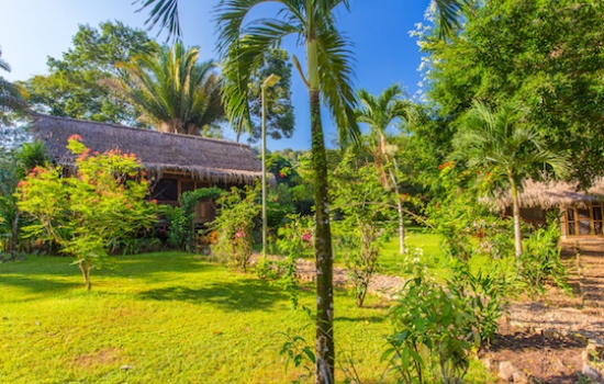 Bocawina Rainforest Resort