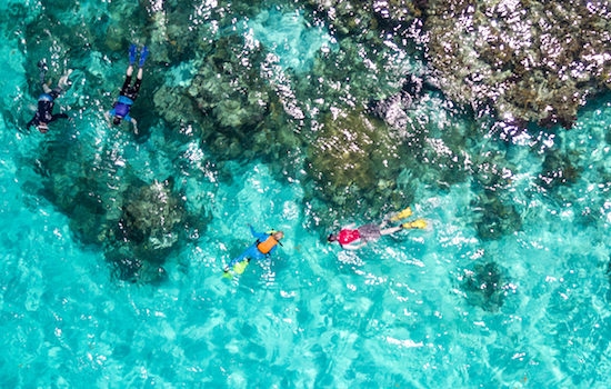 Snorkeling at Glover's Reef