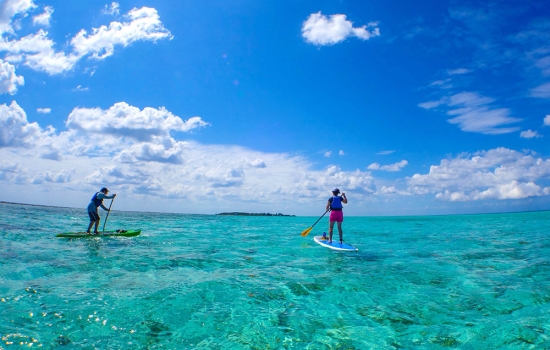 SUP at Glover's Reef