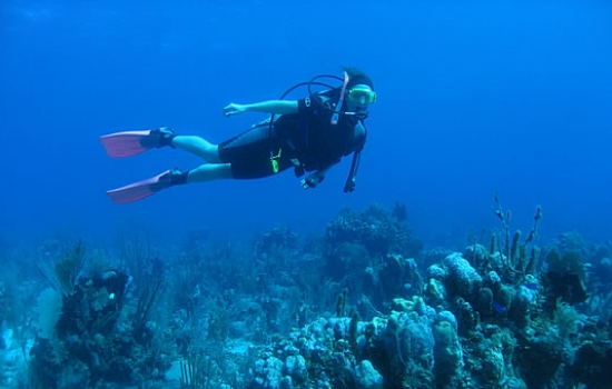 Scuba Diver Belize Barrier Reef