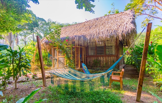 Bocawina Rainforest Resort