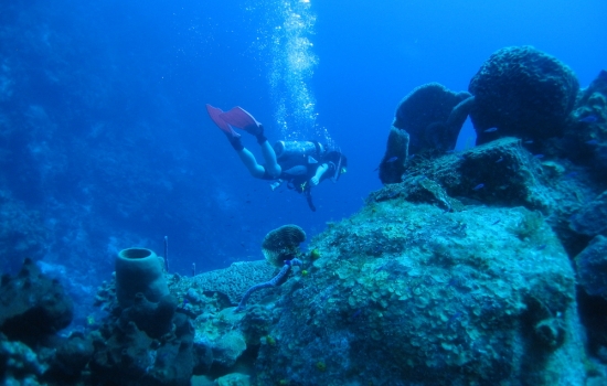 Belize Scuba Diving Packages