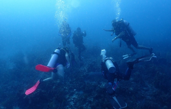 Scuba Diving in Belize