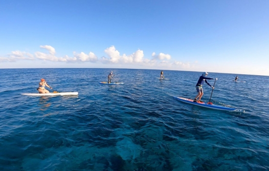 Paddle board group in Belize