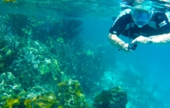 Snorkeling Lighthouse Reef, Belize