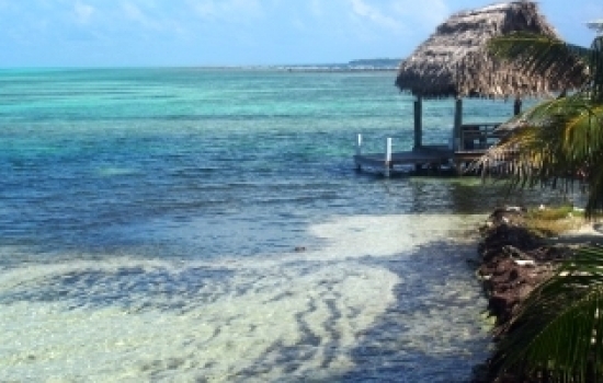 Glover's Reef Basecamp
