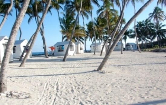 Lighthouse Reef Basecamp