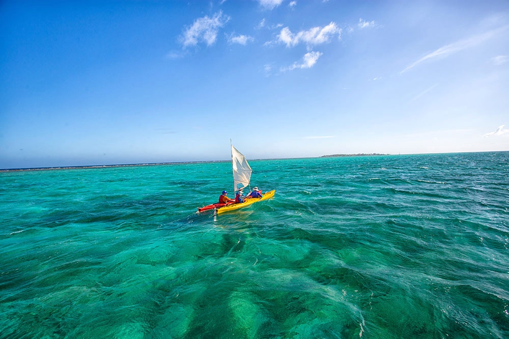 Sea Kayak Sailing Glover's Reef