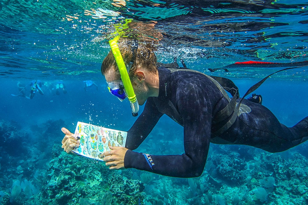 Snorkel at Glover's Reef