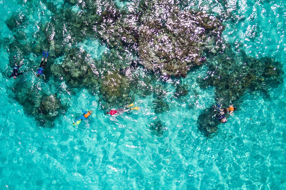 Snorkel Glover's Reef