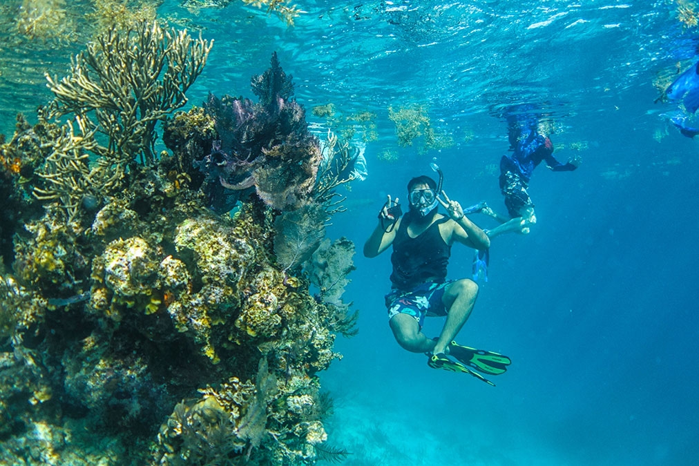 Snorkeling at the Blue Hole, Lighthouse Reef Atoll