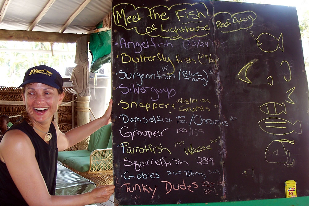 Meet the Fish of LIghthouse Reef, Belize, Central America