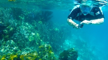 Snorkeling Lighthouse Reef, Belize