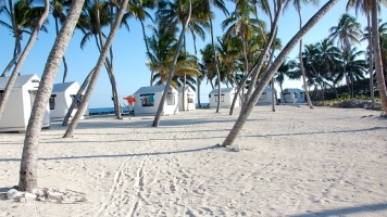Lighthouse Reef Basecamp