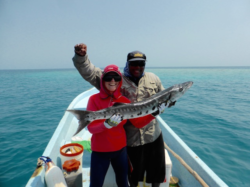 Barracuda at Glovers Reef