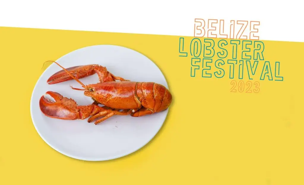 lobster fest Belize 2023
