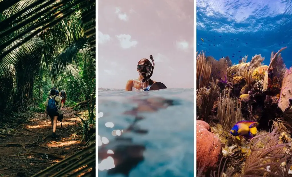 rainforest and reef adventure
