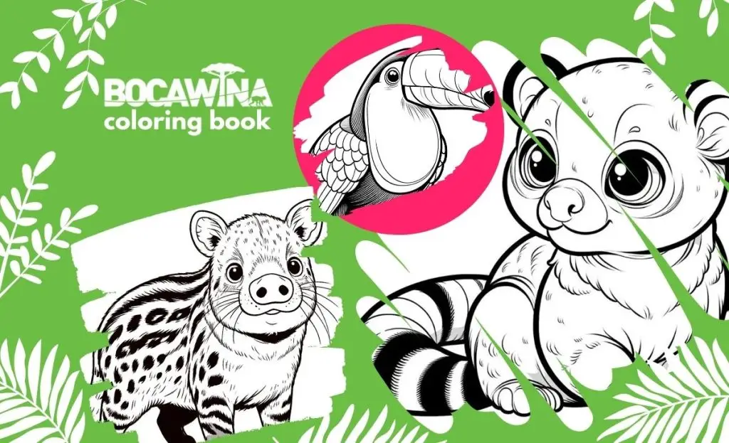 Bocawina coloring book