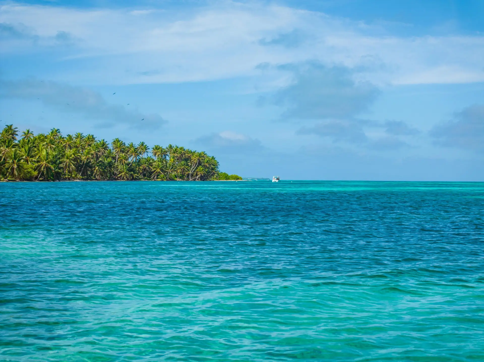 View of Half Moon Caye from the water at Lighthouse Reef in Belize