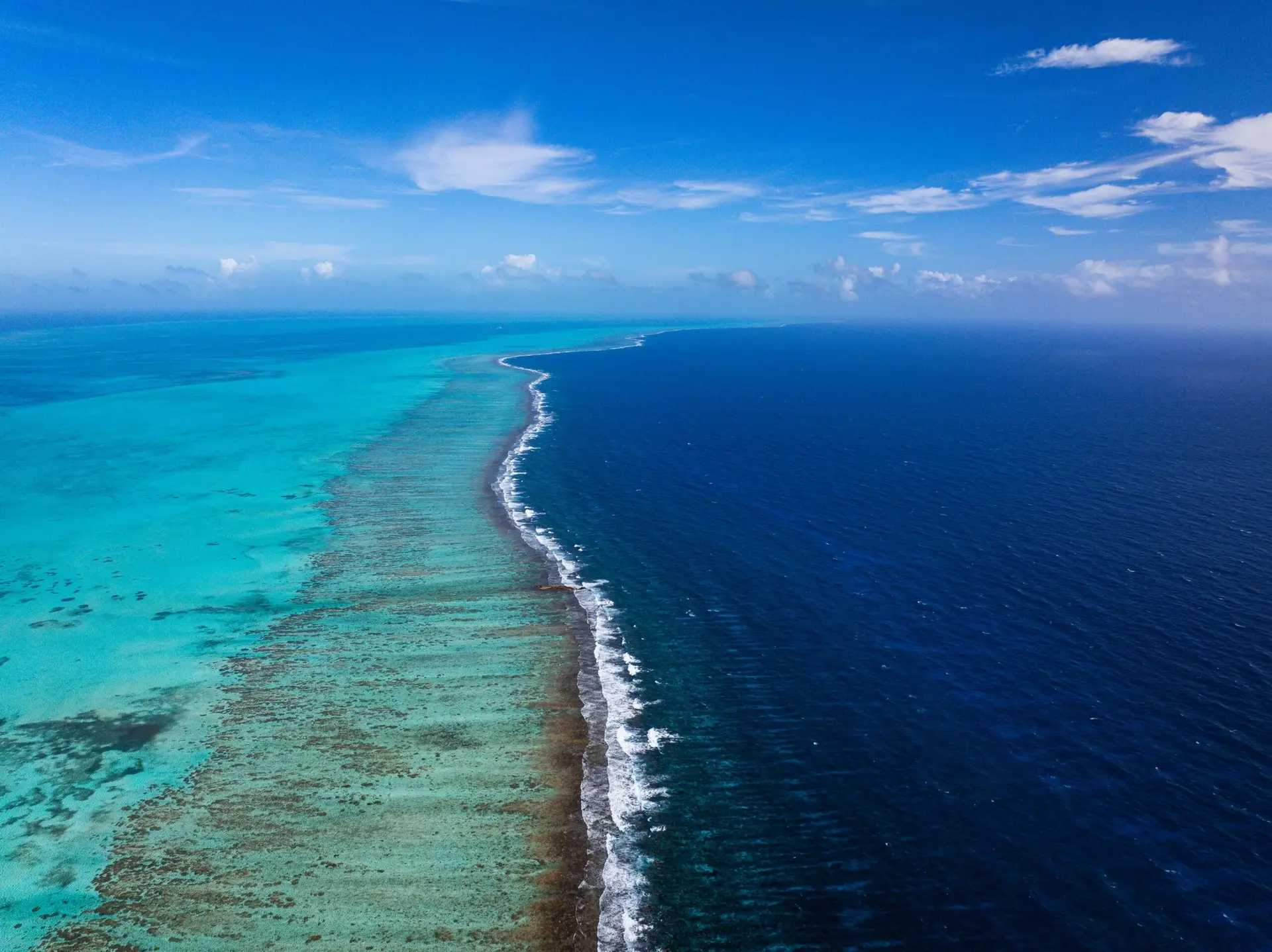 Aerial view along the reef crest close to Half Moon Caye in Belize