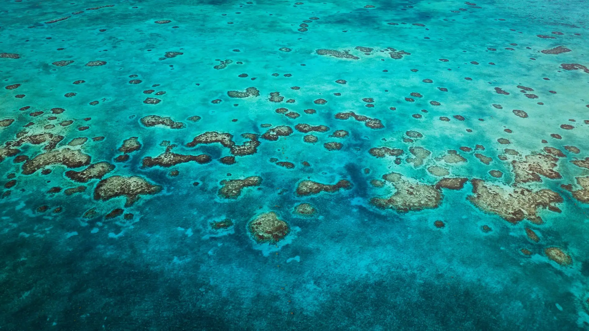 Aerial view of shallow coral reefs in Belize