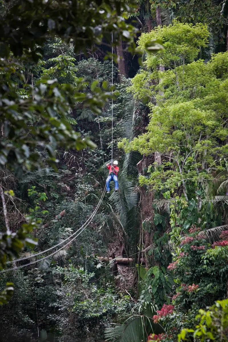 Zipline in Belize through the jungle at Bocawina