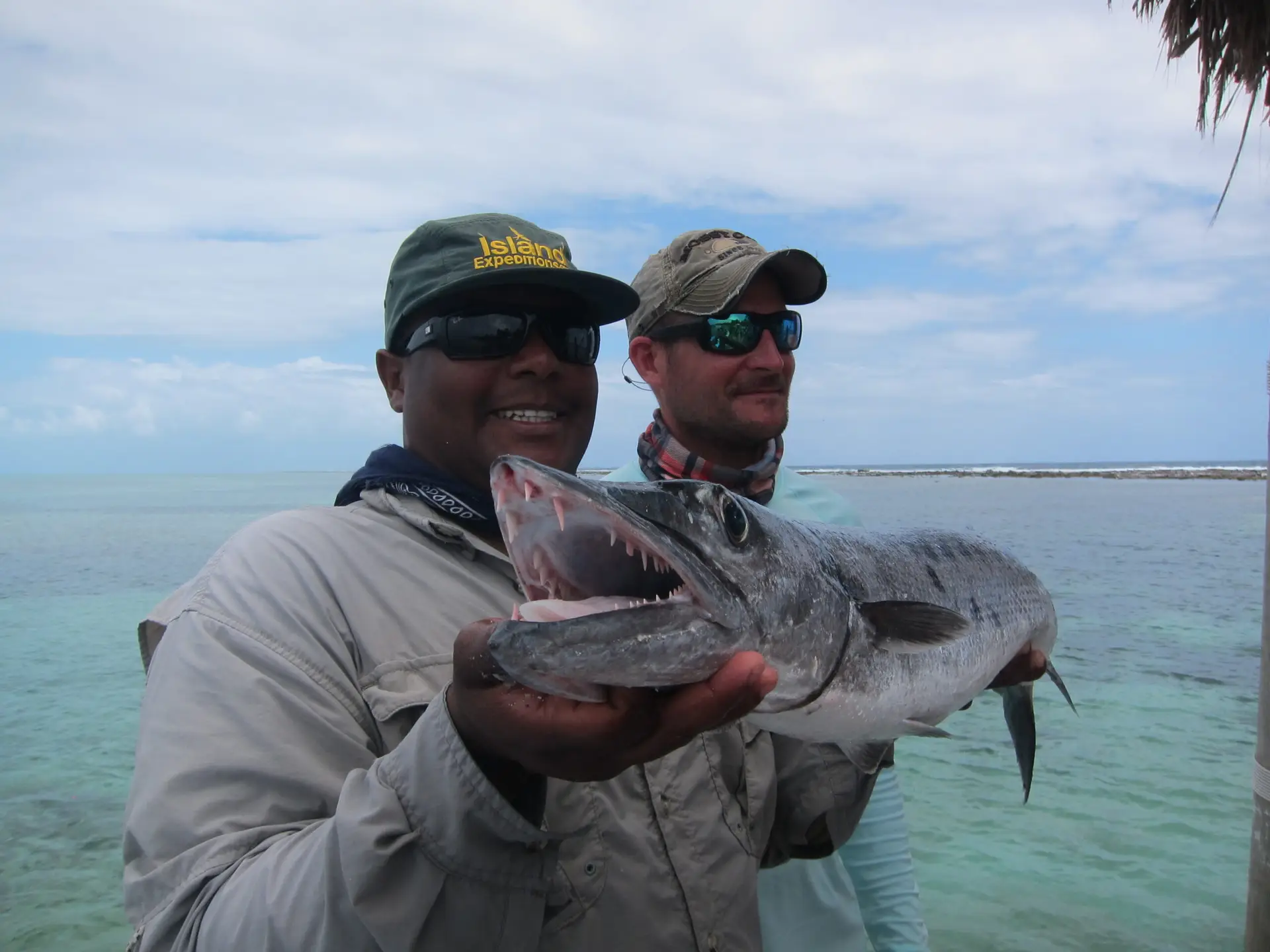 Catching a Barracuda in Belize at Glover's Reef