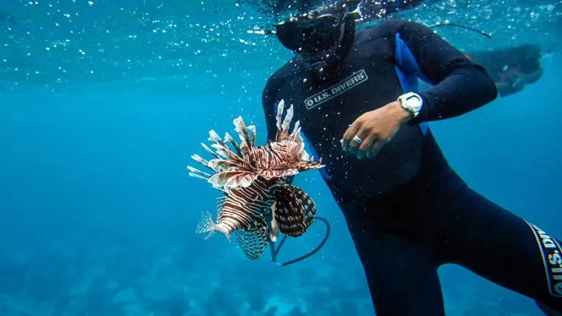 Lionfish hunting in Belize