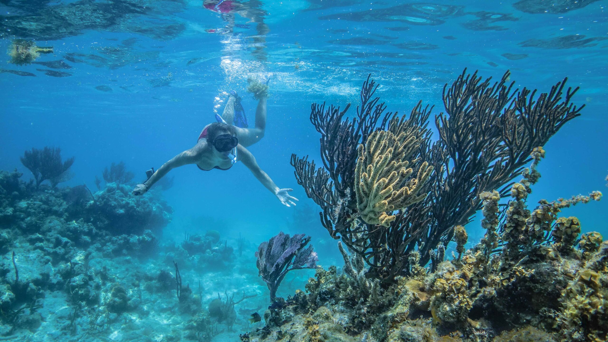 Women snorkeling in Belize