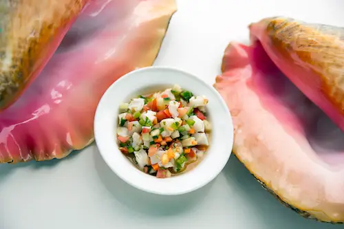Dine on Fresh Conch Ceviche at the Glover’s Reef Basecamp