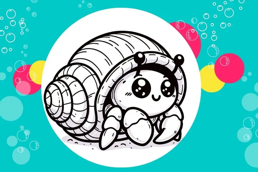 hermit crab - tobacco caye coloring book
