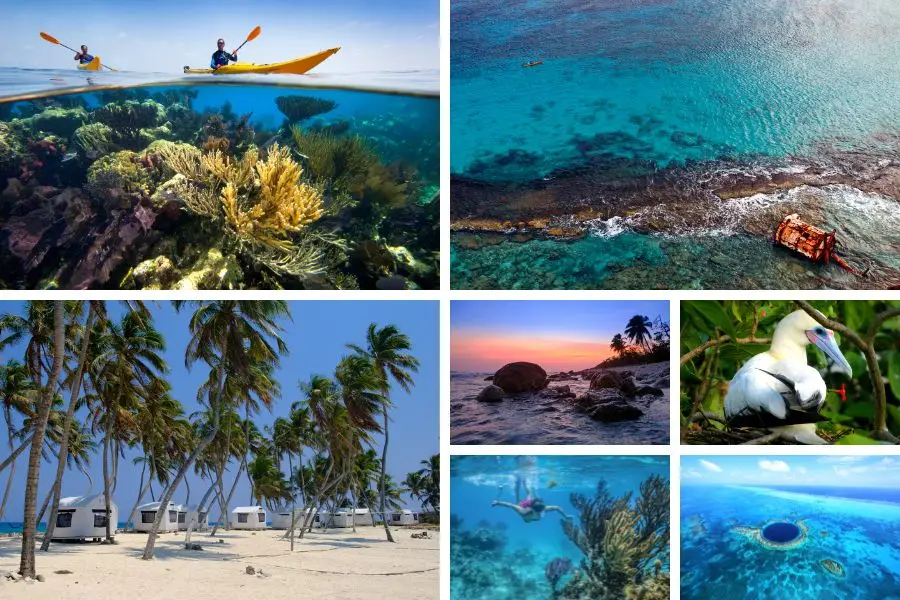 images lighthouse reef atoll half moon basecamp trip