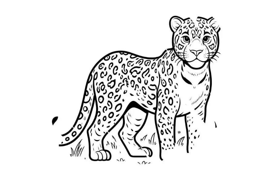 jaguar
