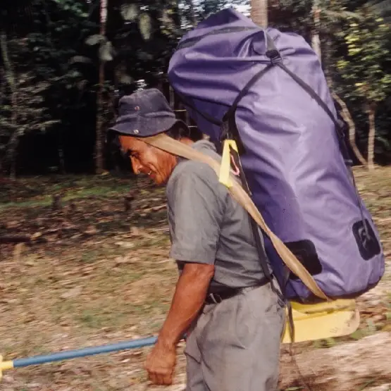mayan-porter (1)